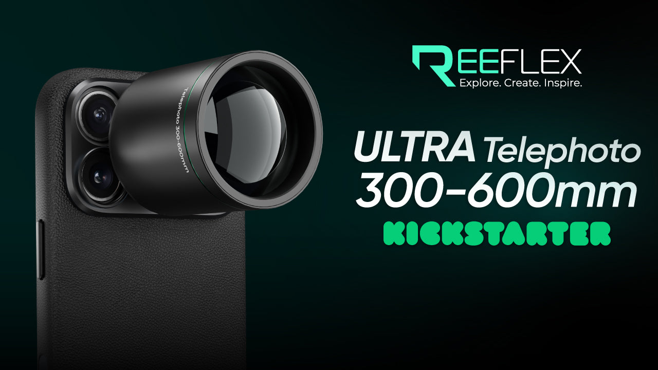 See the Ultra Telephoto 300–600mm in Action