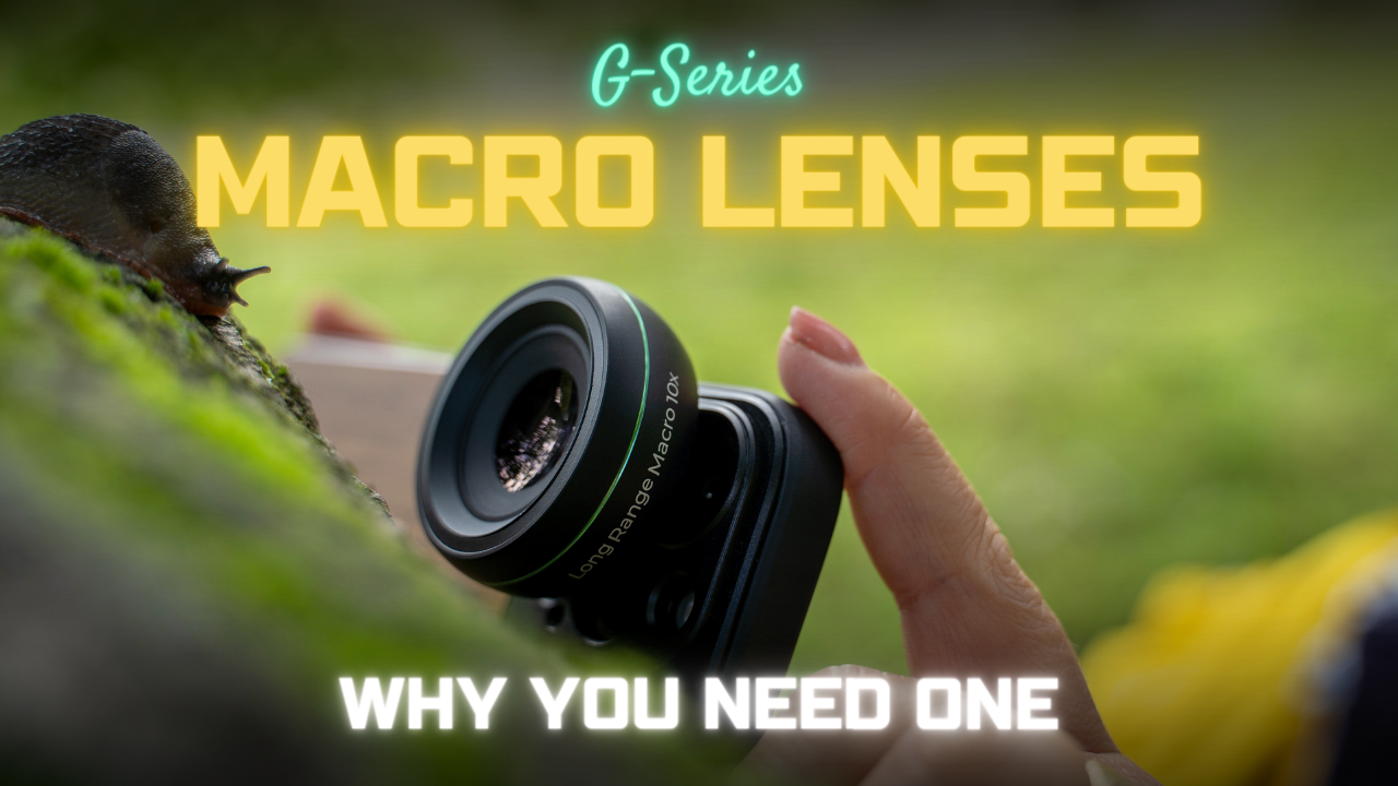 Unlocking G-Series Close-Up Magic: Dive into the World of Macro Photography! 📸🌟