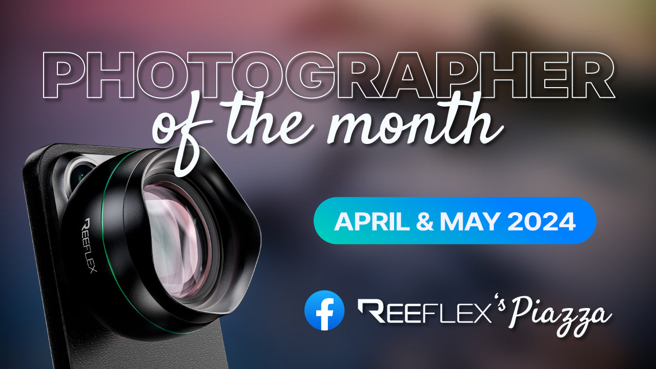 REEFLEX's Piazza – Celebrating our Photographer of the Month – April / May 2024 📸