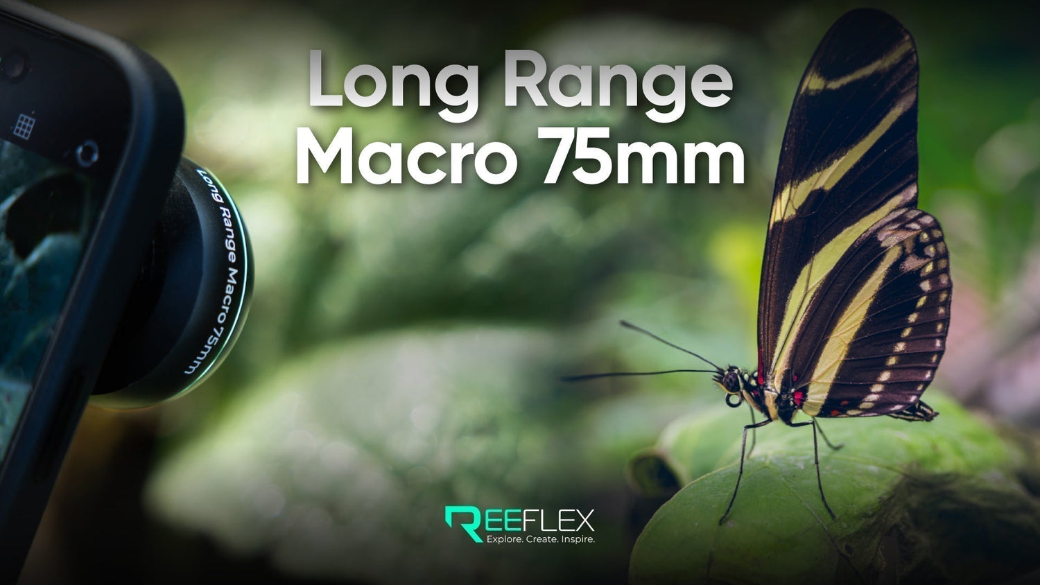 Introducing the new Long Range Macro 75mm 2.0 | More Distance. More Detail.