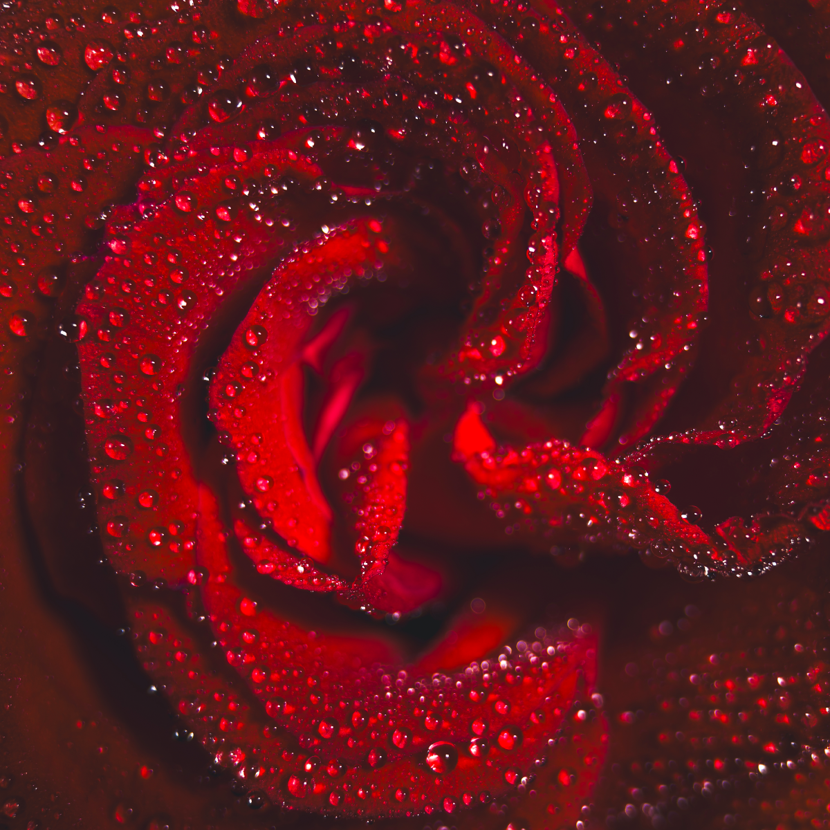 G-Series - Long Range Macro 75mm