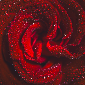 G-Series - Long Range Macro 75mm