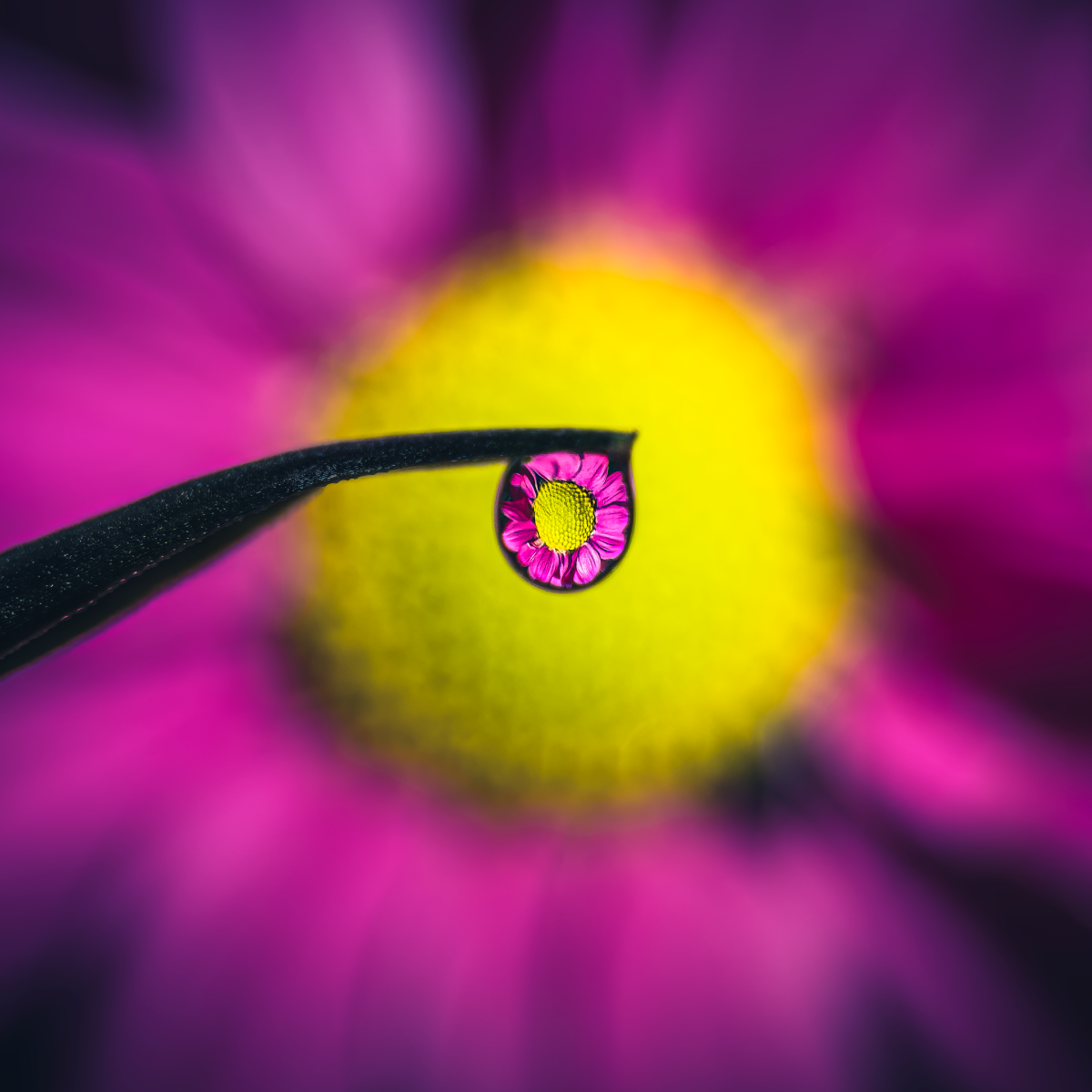 G-Series - Long Range Macro 75mm